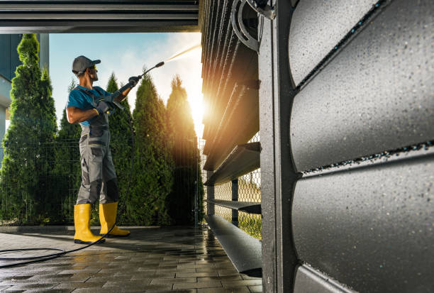 Best Gutter Cleaning  in Pasadena Hills, MO